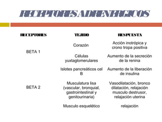 R CE TOR SADR NE GICOS
 E P    E    E R
RECEPTORES          TEJIDO                   RESPUESTA
                                          Acción inotrópica y
                    Corazón
                                          crono tropa positiva
  BETA 1
                    Células             Aumento de la secreción
               yuxtaglomerulares             de la renina

             Islotes pancreáticos cel   Aumento de la liberación
                        B                    de insulina

                Musculatura lisa        Vasodilatación, bronco
  BETA 2      (vascular, bronquial,      dilatación, relajación
                gastrointestinal y        musculo destrusor,
                 genitourinaria)           relajación uterina

              Musculo esquelético              relajación
 
