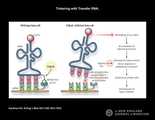 Tinkering with Transfer RNA. Kaufman RJ. N Engl J Med 2011;365:1931-1933. 