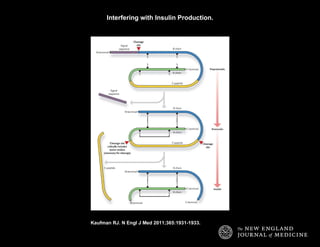 Interfering with Insulin Production. Kaufman RJ. N Engl J Med 2011;365:1931-1933. 