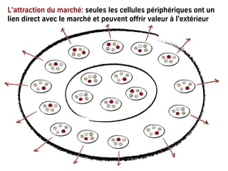 L'attraction du marché: seules les cellules périphériques ont un
lien direct avec le marché et peuvent offrir valeur à l'extérieur
 