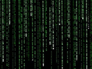 Palestra Niels Pflaeging   38
 