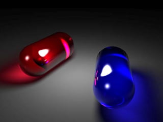 Palestra Niels Pflaeging   39
 