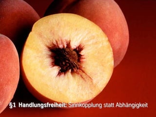 §1 Handlungsfreiheit: Sinnkopplung statt Abhängigkeit
 