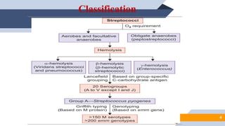 Beta hemolytic Streptococcal infections.pptx