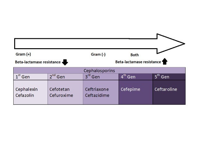 Oral Cephalosporins 3rd Generation