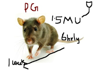 Beta lactam antibiotics