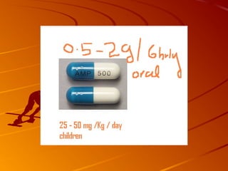 Beta lactam antibiotics