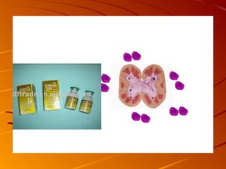 Beta lactam antibiotics