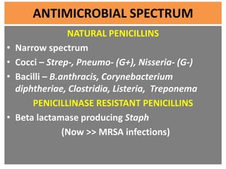 ANTIMICROBIAL SPECTRUM
NATURAL PENICILLINS
• Narrow spectrum
• Cocci – Strep-, Pneumo- (G+), Nisseria- (G-)
• Bacilli – B....
