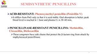 ACID-RESISTANT: Phenoxymethyl penicillin (Penicillin V)
It differs from PnG only in that it is acid stable. Oral absorption is better; peak
blood level is reached in 1 hour and plasma t½ is 30–60 min.
PENICILLINASE-RESISTANT PENICILLINS: Methicillin,
Cloxacillin, Dicloxacillin
These congeners have side chains that protect the β-lactam ring from attack by
staphylococcal penicillinase
11
SEMISYNTHETIC PENICILLINS
 