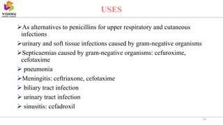 As alternatives to penicillins for upper respiratory and cutaneous
infections
urinary and soft tissue infections caused by gram-negative organisms
Septicaemias caused by gram-negative organisms: cefuroxime,
cefotaxime
 pneumonia
Meningitis: ceftriaxone, cefotaxime
 biliary tract infection
 urinary tract infection
 sinusitis: cefadroxil
19
USES
 