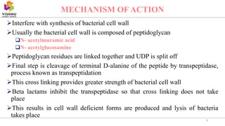 Interfere with synthesis of bacterial cell wall
Usually the bacterial cell wall is composed of peptidoglycan
N- acetylmuramic acid
N- acetylglucosamine
Peptidoglycan residues are linked together and UDP is split off
Final step is cleavage of terminal D-alanine of the peptide by transpeptidase,
process known as transpeptidation
This cross linking provides greater strength of bacterial cell wall
Beta lactams inhibit the transpeptidase so that cross linking does not take
place
This results in cell wall deficient forms are produced and lysis of bacteria
takes place
4
MECHANISM OF ACTION
 