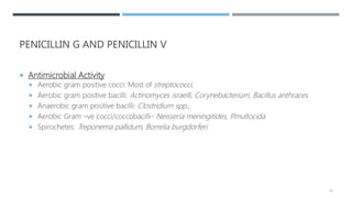 PENICILLIN G AND PENICILLIN V
 Antimicrobial Activity
 Aerobic gram positive cocci: Most of streptococci,
 Aerobic gram positive bacilli: Actinomyces israelli, Corynebacterium, Bacillus anthraces
 Anaerobic gram positive bacilli: Clostridium spp.,
 Aerobic Gram –ve cocci/coccobacilli- Neisseria meningitides, P.multocida
 Spirochetes: Treponema pallidum, Borrelia burgdorferi
10
 