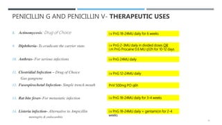 PENICILLIN G AND PENICILLIN V- THERAPEUTIC USES
8. Actinomycosis: Drug of Choice
9. Diphtheria- To eradicate the carrier state.
10. Anthrax- For serious infections
11. Clostridial Infection – Drug of Choice
Gas gangrene
12. Fusospirochetal Infection- Simple trench mouth
13. Rat bite fever- For metastatic infection
14. Listeria infection- Alternative to Ampicillin
meningitis & endocarditis
i.v PnG 2-3MU daily in divided doses OR
i.m PnG Procaine 0.6 MU q12h for 10-12 days
PnV 500mg PO q6h
i.v PnG 18-24MU daily for 3-4 weeks
i.v PnG 18-24MU daily for 6 weeks
i.v PnG 24MU daily
i.v PnG 12-24MU daily
i.v PnG 18-24MU daily + gentamicin for 2-4
weeks
14
 