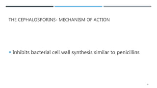 THE CEPHALOSPORINS- MECHANISM OF ACTION
 Inhibits bacterial cell wall synthesis similar to penicillins
30
 