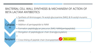 BACTERIAL CELL WALL SYNTHESIS & MECHANISM OF ACTION OF
BETA LACTAM ANTIBIOTICS
Cytoplas
m
• Synthesis of Aminosugars: N-acetyl-glucosamine (NAG) & N-acetyl-muramic
(NAM)
• Addition of pentapeptide to NAM
• Formation peptidoglycan precursor [NAG-NAM(pentapeptide)]
Periplasm
• Elongation of peptidoglycan chain (transglycosylation)
•
• Cross linking of peptide chain (transpeptidation)
Beta Lactams
4
 