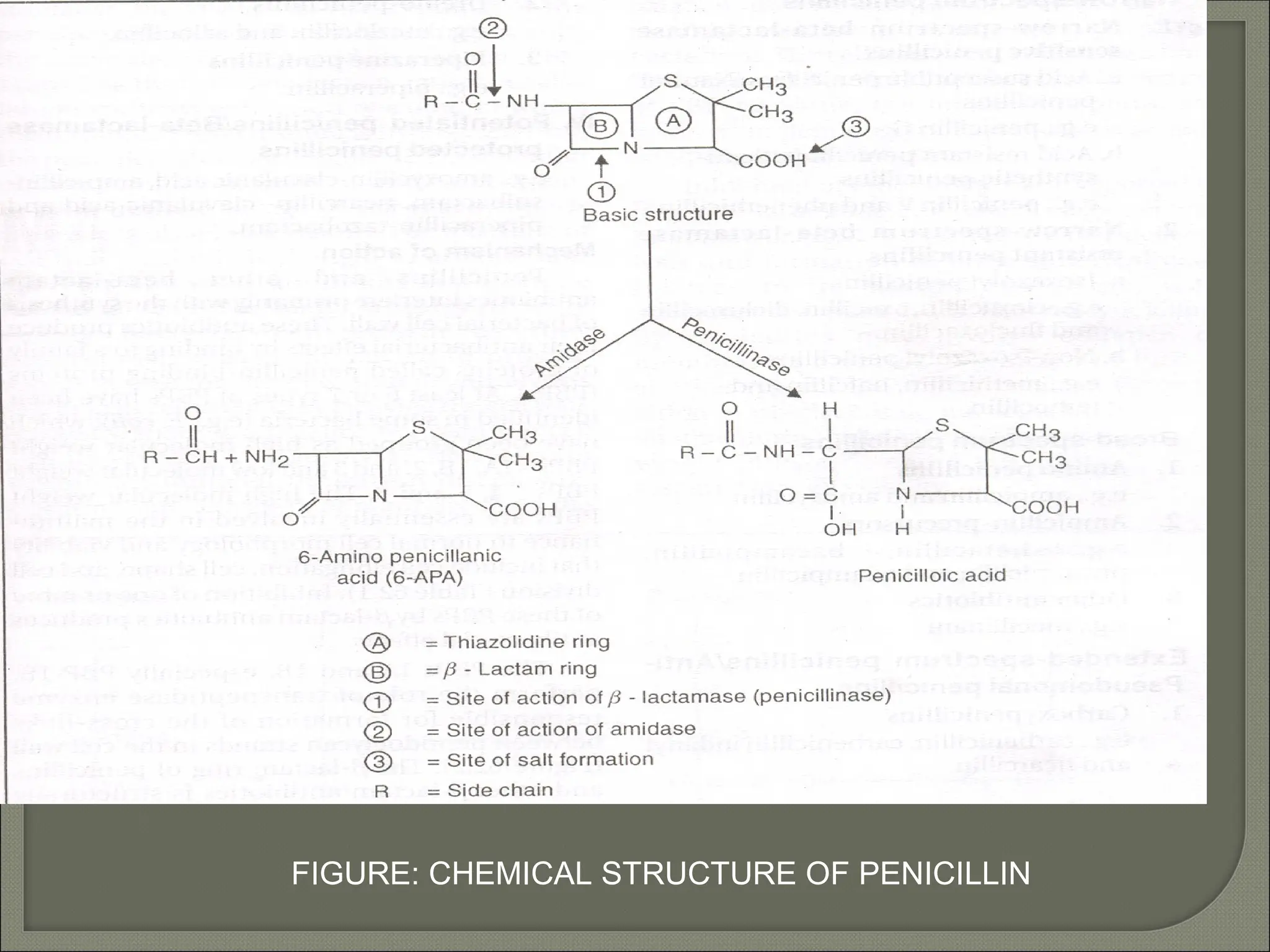 FIGURE: CHEMICAL STRUCTURE OF PENICILLIN
 