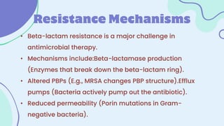 Beta Lactam Antibiotics - Pharmacology | PDF