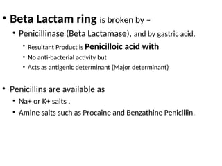 • Beta Lactam ring is broken by –
• Penicillinase (Beta Lactamase), and by gastric acid.
• Resultant Product is Penicilloic acid with
• No anti-bacterial activity but
• Acts as antigenic determinant (Major determinant)
• Penicillins are available as
• Na+ or K+ salts .
• Amine salts such as Procaine and Benzathine Penicillin.
 