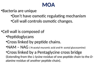 MOA
•Bacteria are unique
•Don’t have osmotic regulating mechanism
•Cell wall controls osmotic changes.
•Cell wall is composed of
•Peptidoglycans
•Cross linked by peptide chains.
•NAM – NAG ( N-acetyl muramic acid and N- acetyl glucosamine)
•Cross linked by a Pentaglycine cross bridge
(Extending from the L-lysine residue of one peptide chain to the D-
alanine residue of another peptide chain).
 