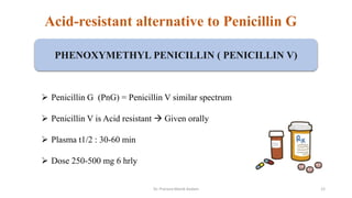 Acid-resistant alternative to Penicillin G
 Penicillin G (PnG) = Penicillin V similar spectrum
 Penicillin V is Acid resistant  Given orally
 Plasma t1/2 : 30-60 min
 Dose 250-500 mg 6 hrly
PHENOXYMETHYL PENICILLIN ( PENICILLIN V)
Dr. Prerana Manik Kadam 12
 