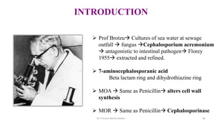 INTRODUCTION
 Prof Brotzu Cultures of sea water at sewage
outfall  fungus Cephalosporium acremonium
 antagonistic to intestinal pathogen Florey
1955 extracted and refined.
 7-aminocephalosporanic acid
Beta lactam ring and dihydrothiazine ring
 MOA  Same as Penicillin alters cell wall
synthesis
 MOR  Same as Penicillin Cephalosporinase
Dr. Prerana Manik Kadam 38
 
