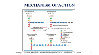 MECHANISM OF ACTION
Courtesy : Goodman & Gilman’s The Pharmacological Basis of Therapeutics 13th Edition
Dr. Prerana Manik Kadam 7
 