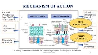 MECHANISM OF ACTION
Cell wall
Peptidoglycan
layer 50-100
molecules thick
Cell wall
Peptidoglycan
layer 1-2
molecules
thick
Only
peptidoglycan
layer
Alternate
lipoprotein
and
peptidoglycan
layer
Extensively
crosslinked
Little
crosslinking
GRAM POSITIVE GRAM NEGATIVE
Courtesy : Goodman & Gilman’s The Pharmacological Basis of Therapeutics 13th Edition
BETA
LACTAMASES
PORIN
CHANNELS
Dr. Prerana Manik Kadam 8
 