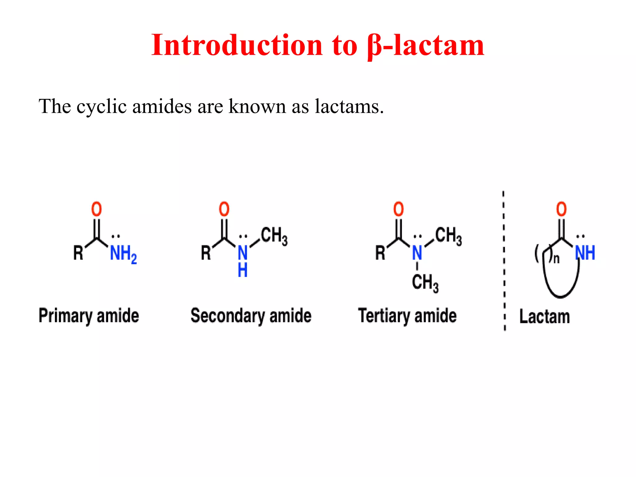 Lactom Beta Lactams.pptx