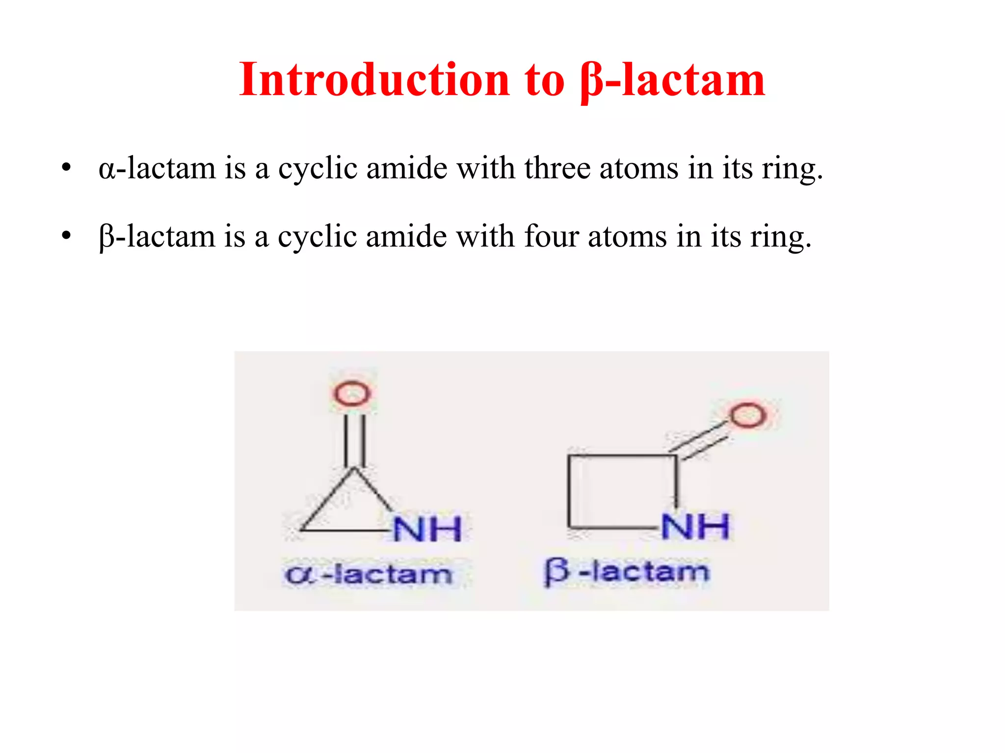 Lactom Beta Lactams.pptx