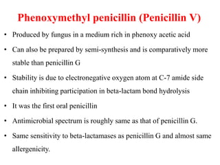 Phenoxymethyl penicillin (Penicillin V)
• Produced by fungus in a medium rich in phenoxy acetic acid
• Can also be prepared by semi-synthesis and is comparatively more
stable than penicillin G
• Stability is due to electronegative oxygen atom at C-7 amide side
chain inhibiting participation in beta-lactam bond hydrolysis
• It was the first oral penicillin
• Antimicrobial spectrum is roughly same as that of penicillin G.
• Same sensitivity to beta-lactamases as penicillin G and almost same
allergenicity.
 