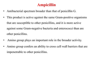 Ampicillin
• Antibacterial spectrum broader than that of penicillin G.
• This product is active against the same Gram-positive organisms
that are susceptible to other penicillins, and it is more active
against some Gram-negative bacteria and enterococci than are
other penicillins.
• Amino group plays an important role in the broader activity.
• Amino group confers an ability to cross cell wall barriers that are
impenetrable to other penicillins.
 