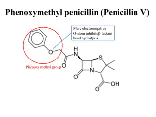 Phenoxymethyl penicillin (Penicillin V)
Phenoxy methyl group
More electronegative
O-atom inhibits β-lactam
bond hydrolysis
 