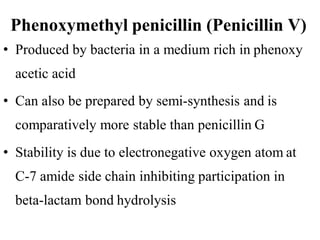 Phenoxymethyl penicillin (Penicillin V)
• Produced by bacteria in a medium rich in phenoxy
acetic acid
• Can also be prepared by semi-synthesis and is
comparatively more stable than penicillin G
• Stability is due to electronegative oxygen atom at
C-7 amide side chain inhibiting participation in
beta-lactam bond hydrolysis
 