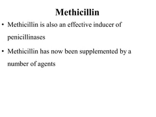 Methicillin
• Methicillin is also an effective inducer of
penicillinases
• Methicillin has now been supplemented by a
number of agents
 