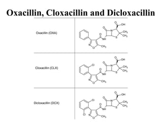 Oxacillin, Cloxacillin and Dicloxacillin
 