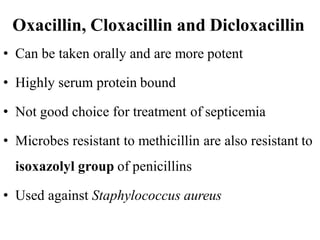 Oxacillin, Cloxacillin and Dicloxacillin
• Can be taken orally and are more potent
• Highly serum protein bound
• Not good choice for treatment of septicemia
• Microbes resistant to methicillin are also resistant to
isoxazolyl group of penicillins
• Used against Staphylococcus aureus
 
