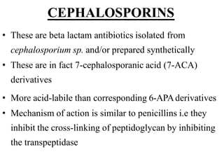 CEPHALOSPORINS
• These are beta lactam antibiotics isolated from
cephalosporium sp. and/or prepared synthetically
• These are in fact 7-cephalosporanic acid (7-ACA)
derivatives
• More acid-labile than corresponding 6-APAderivatives
• Mechanism of action is similar to penicillins i.e they
inhibit the cross-linking of peptidoglycan by inhibiting
the transpeptidase
 