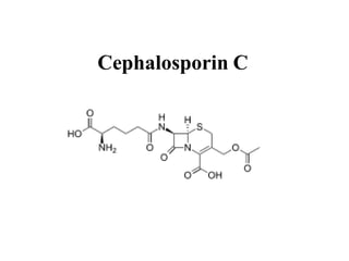 Cephalosporin C
 