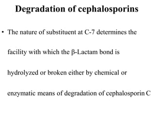 Degradation of cephalosporins
• The nature of substituent at C-7 determines the
facility with which the β-Lactam bond is
hydrolyzed or broken either by chemical or
enzymatic means of degradation of cephalosporin C
 