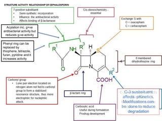 Acylation inc. g+ve
antibacterial activity but
reduces g-ve activity
Phenyl ring can be
replaced by
thiophene, tetrazole,
furan, pyridine and it
increases activity
C-3 susbsituent
affects pKinetics.
Modifications can
be done to reduce
degradation
 