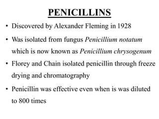 PENICILLINS
• Discovered by Alexander Fleming in 1928
• Was isolated from fungus Penicillium notatum
which is now known as Penicillium chrysogenum
• Florey and Chain isolated penicillin through freeze
drying and chromatography
• Penicillin was effective even when is was diluted
to 800 times
 