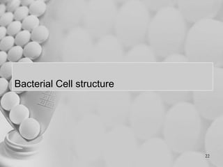 Bacterial Cell structure
22
 