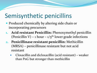 Semisynthetic penicillins
 Produced chemically by altering side chain or
incorporating precursors
1. Acid resistant Penicillin: Phenoxymethyl penicillin
(Penicillin V) – 1 hour – 1/5th lower grade infections
2. Penicillinase resistant penicillin: Methicillin
(MRSA) – penicillinase resistant but not acid
resistant
 Cloxacillin and dicloxacillin (acid resistant) – weaker
than PnG but stronger than methicillin
 