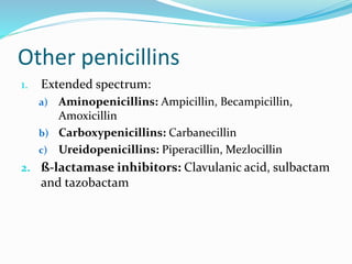 Other penicillins
1. Extended spectrum:
a) Aminopenicillins: Ampicillin, Becampicillin,
Amoxicillin
b) Carboxypenicillins: Carbanecillin
c) Ureidopenicillins: Piperacillin, Mezlocillin
2. ß-lactamase inhibitors: Clavulanic acid, sulbactam
and tazobactam
 