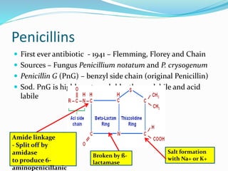 Penicillins
 First ever antibiotic - 1941 – Flemming, Florey and Chain
 Sources – Fungus Penicillium notatum and P. crysogenum
 Penicillin G (PnG) – benzyl side chain (original Penicillin)
 Sod. PnG is highly water soluble, thermolabile and acid
labile
Amide linkage
- Split off by
amidase
to produce 6-
aminopenicillanic
Salt formation
with Na+ or K+
Broken by ß-
lactamase
 