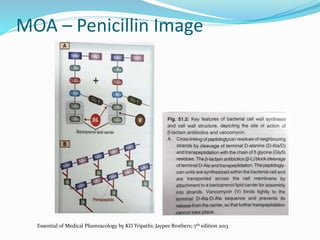 MOA – Penicillin Image
Essential of Medical Phamracology by KD Tripathi; Jaypee Brothers; 7th edition 2013
 