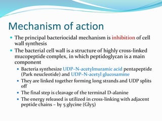 Mechanism of action
 The principal bacteriocidal mechanism is inhibition of cell
wall synthesis
 The bacterial cell wall is a structure of highly cross-linked
mucopeptide complex, in which peptidoglycan is a main
component
 Bacteria synthesize UDP–N-acetylmuramic acid pentapeptide
(Park neucleotide) and UDP–N-acetyl glucosamine
 They are linked together forming long strands and UDP splits
off
 The final step is cleavage of the terminal D-alanine
 The energy released is utilized in cross-linking with adjacent
peptide chains – by 5 glycine (Gly5)
 