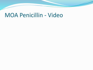 MOA Penicillin - Video
 
