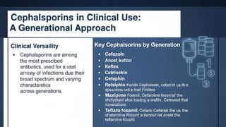Beta Lactum Antibiotics presentation.pptx